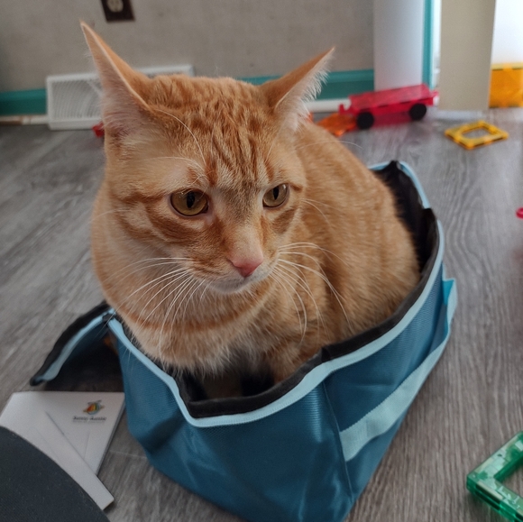 YOU could looks this fabulous too! - Picture 12 of 12